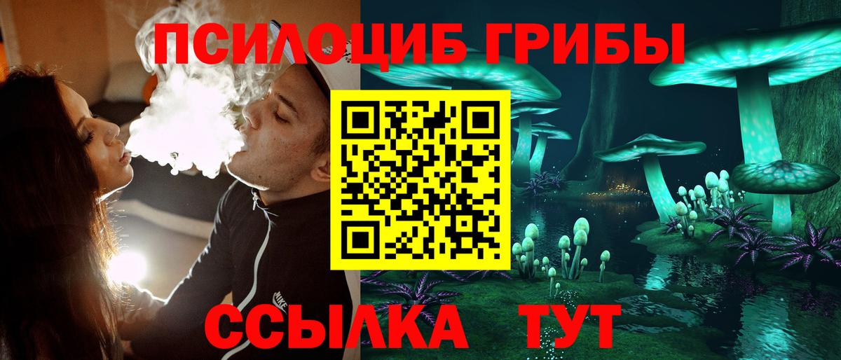 Псилоцибиновые грибы мицелий Усть-Кут