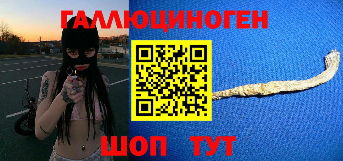 Галлюциногенные грибы GOLDEN TEACHER  Вход с VPN  Усть-Кут  Галлюциногенные грибы прущие грибы 